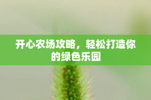 轻松打造你的绿色乐园图片
