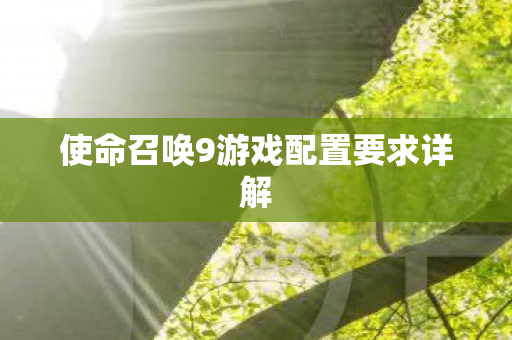 使命召唤9游戏配置要求详解图片