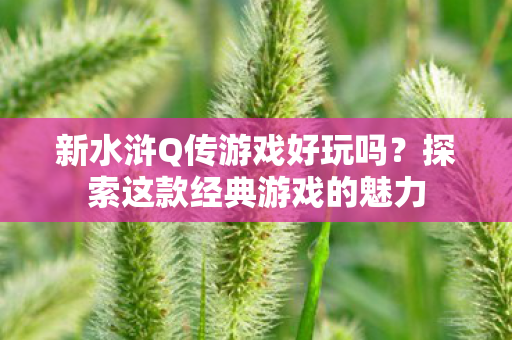 探索这款经典游戏的魅力图片