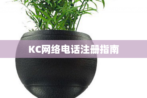 KC网络电话注册指南图片