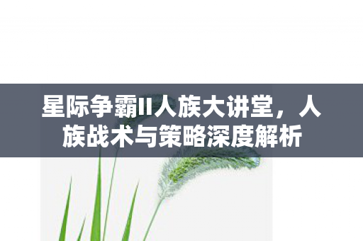 星际争霸II人族大讲堂图片