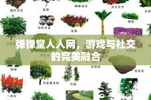 游戏与社交的完美融合图片