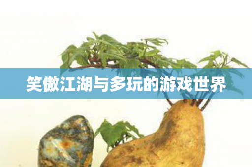 笑傲江湖与多玩的游戏世界图片