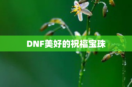 DNF美好的祝福宝珠图片