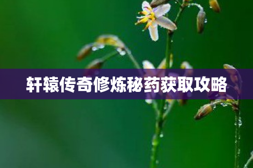 轩辕传奇修炼秘药获取攻略图片