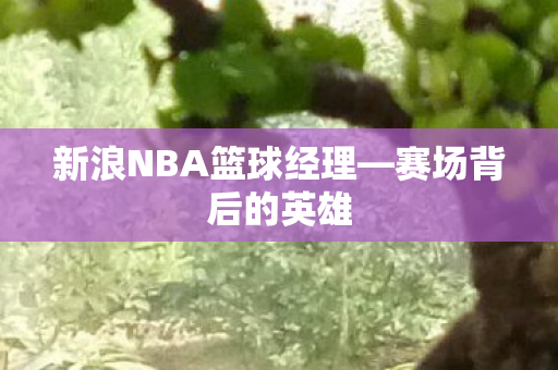 新浪NBA篮球经理图片