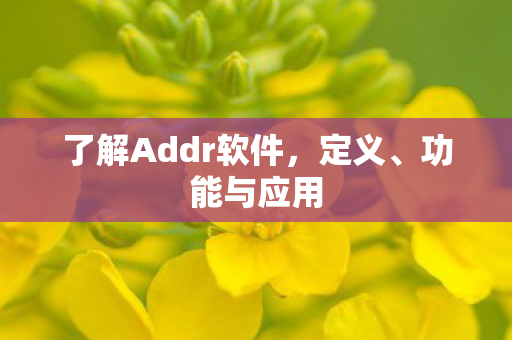 了解Addr软件图片