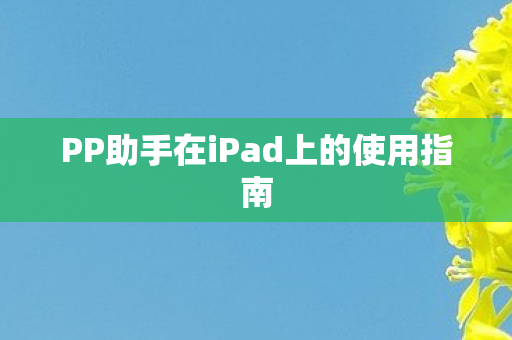 PP助手在iPad上的使用指南图片