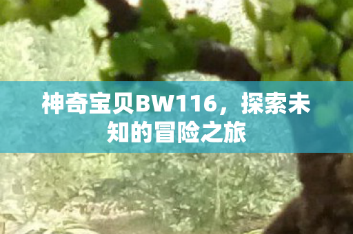 神奇宝贝BW116图片