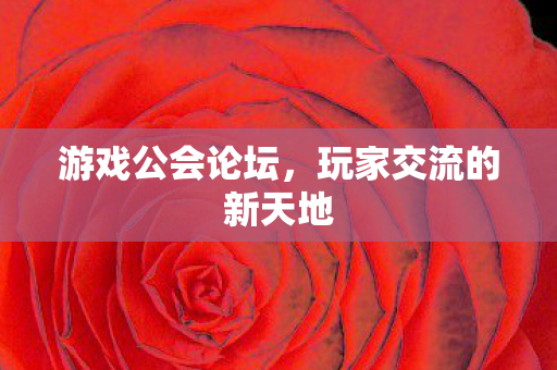 玩家交流的新天地图片