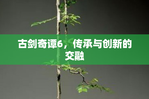 传承与创新的交融图片