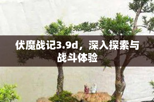 深入探索与战斗体验图片