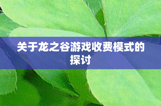 关于龙之谷游戏收费模式的探讨图片