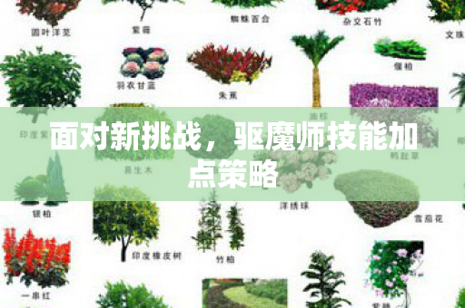 驱魔师技能加点策略图片