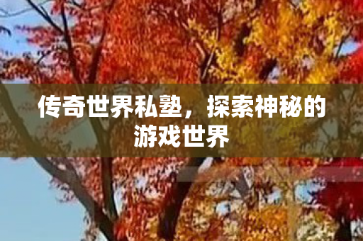 探索神秘的游戏世界图片