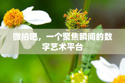 一个聚焦瞬间的数字艺术平台图片