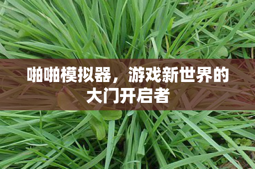 游戏新世界的大门开启者图片