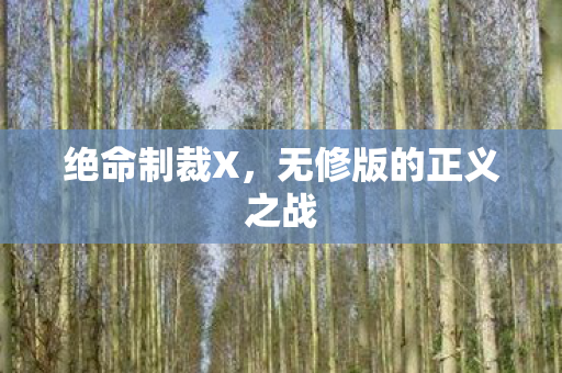 无修版的正义之战图片
