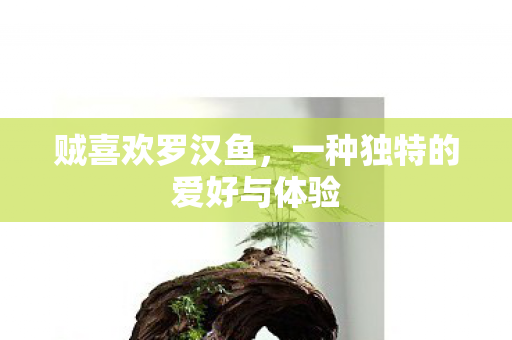 一种独特的爱好与体验图片