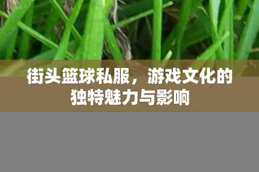 游戏文化的独特魅力与影响图片