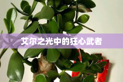 艾尔之光中的狂心武者图片