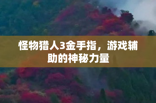 游戏辅助的神秘力量图片