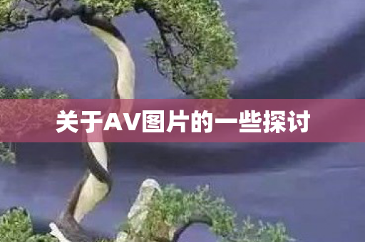 关于AV图片的一些探讨图片
