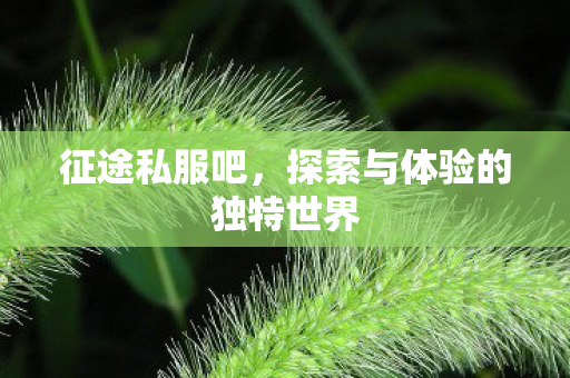 探索与体验的独特世界图片