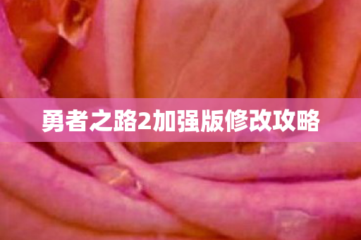 勇者之路2加强版修改攻略图片