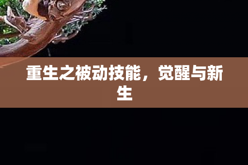 重生之被动技能图片