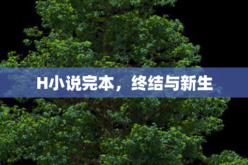 H小说完本图片