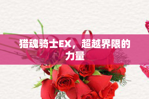 超越界限的力量图片