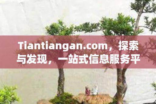 Tiantiangan图片