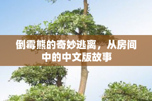 从房间中的中文版故事图片