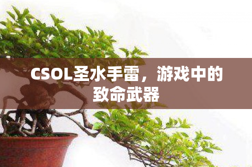 CSOL圣水手雷图片