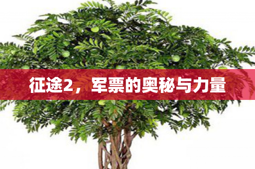 军票的奥秘与力量图片