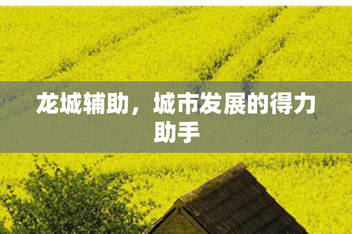 城市发展的得力助手图片