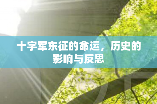 十字军东征的命运图片