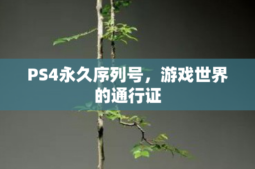PS4永久序列号图片