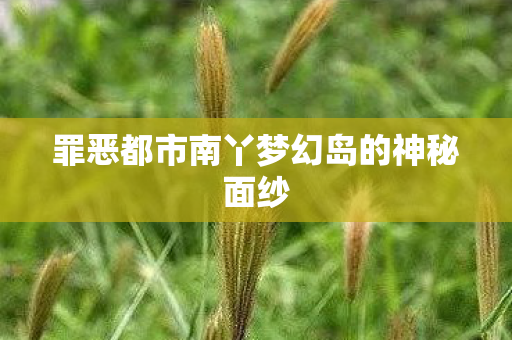 罪恶都市南丫梦幻岛的神秘面纱图片