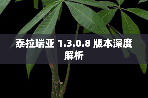 8 版本深度解析图片