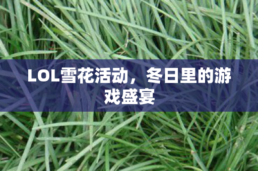 冬日里的游戏盛宴图片