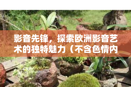 探索欧洲影音艺术的独特魅力图片