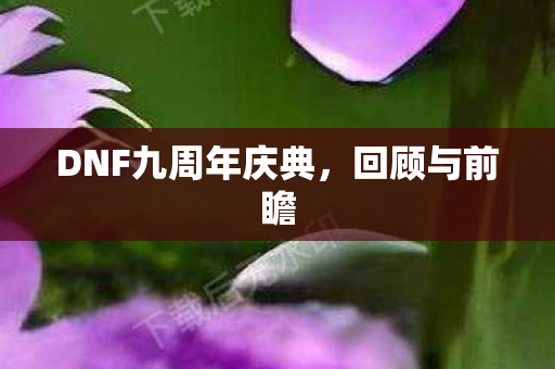 DNF九周年庆典图片