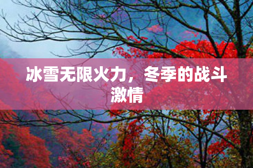 冬季的战斗激情图片