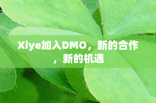 Xiye加入DMO图片