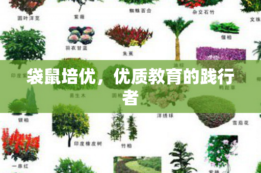 优质教育的践行者图片