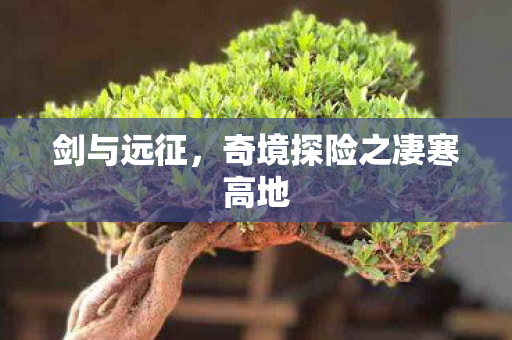 奇境探险之凄寒高地图片