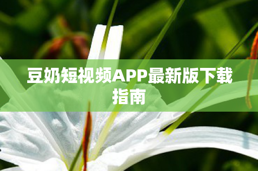 豆奶短视频APP最新版下载指南图片