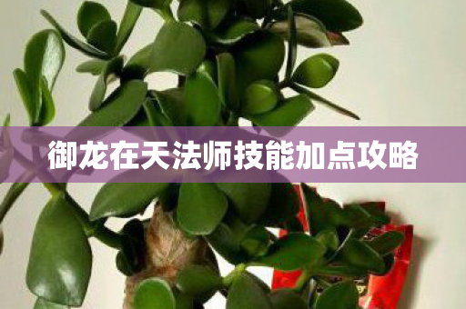 御龙在天法师技能加点攻略图片